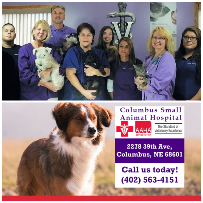 Review Columbus animal hospital image 315128