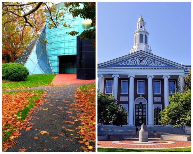 Review Harvard business school image 239512