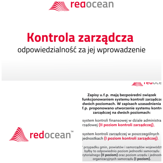 Review Red Ocean sp. z o.o. image 68249