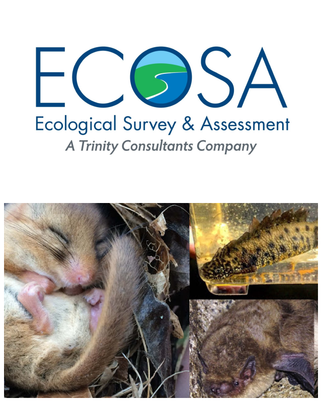 Review Ecological Survey & Assessment (ECOSA) Limited image 52143