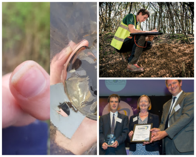 Review Ecological Survey & Assessment (ECOSA) Limited image 52144