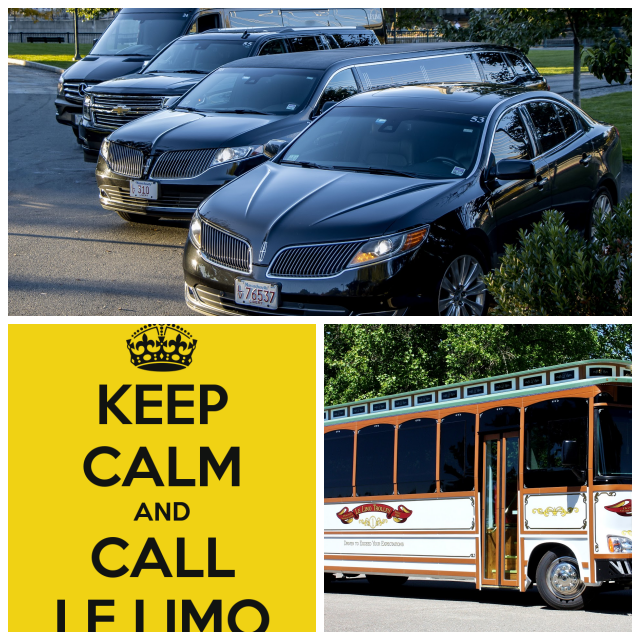 Review Le limo limousine service image 312245