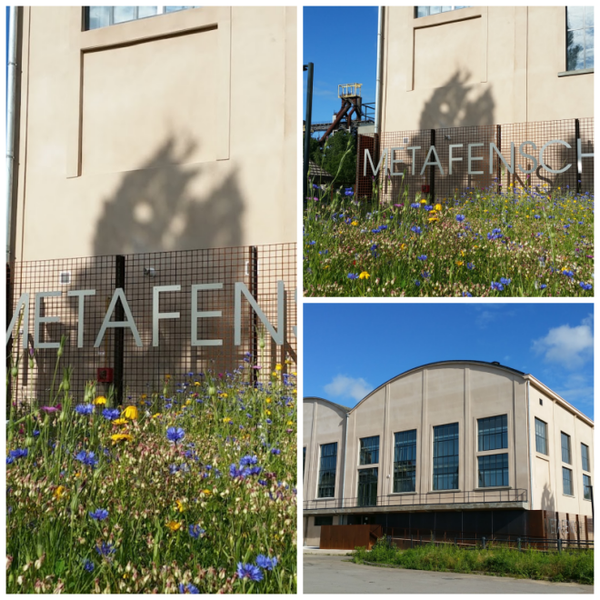 Review MetaFensch image 166082