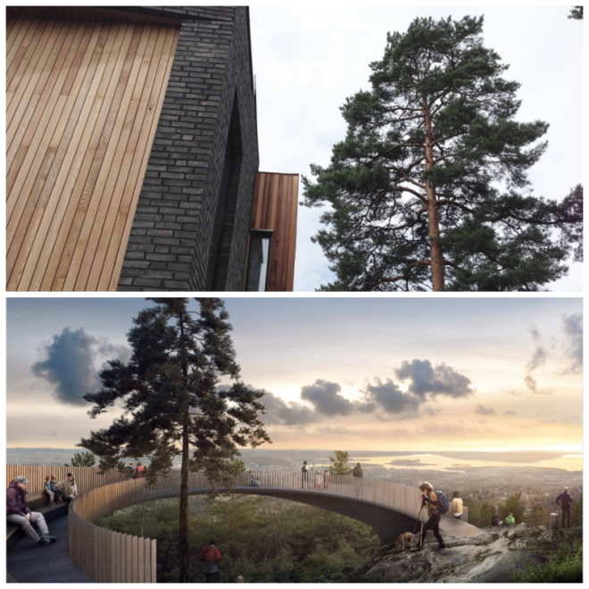 Review Rodeo Arkitekter image 103568
