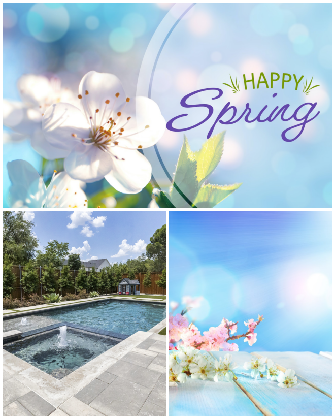 Review Riverbend/Sandler Pools image 6279