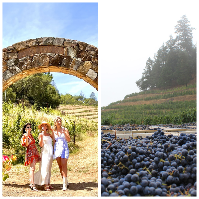 Review Pine Ridge Vineyards image 23333