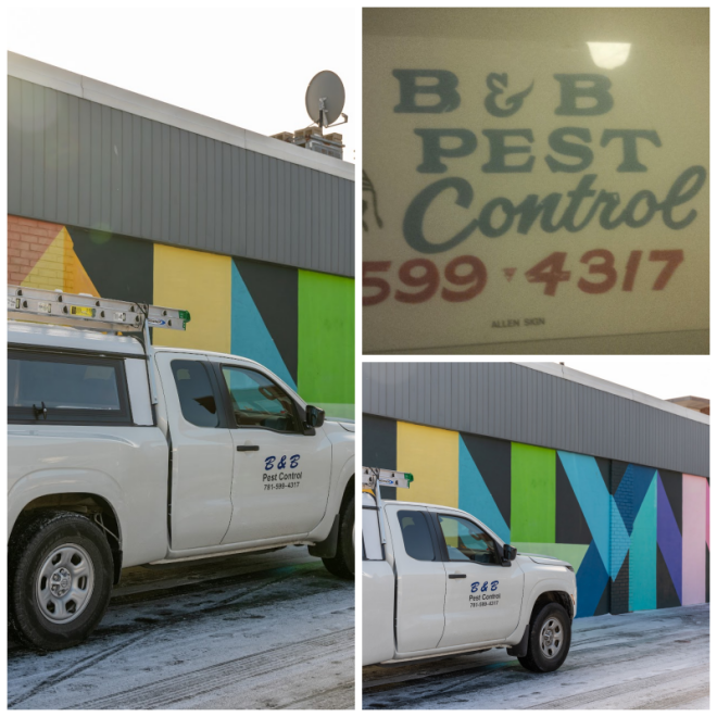 Review B & B Pest Control image 157597