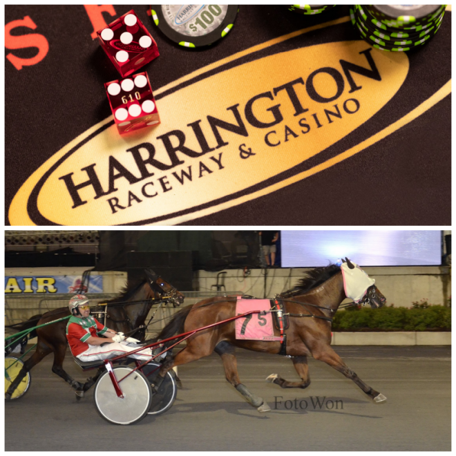 Review Harrington Raceway & Casino image 80960