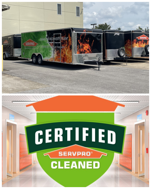 Review Servpro of albany image 352507