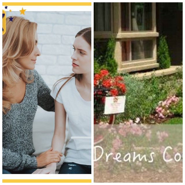Review Adoption Dreams Come True Inc image 154381