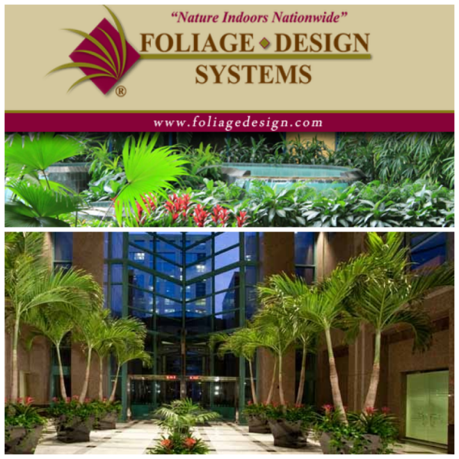 Review Foliage Design Systems of Miami image 199716