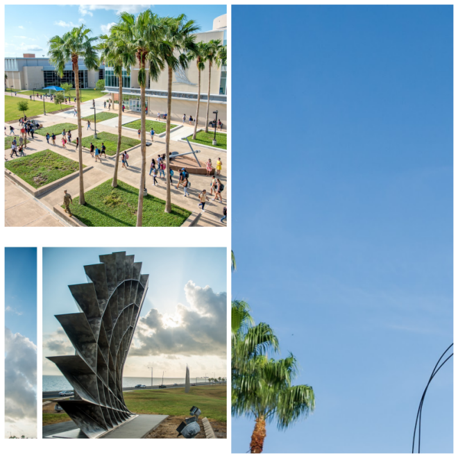Review Texas A&M Corpus Christi image 86122