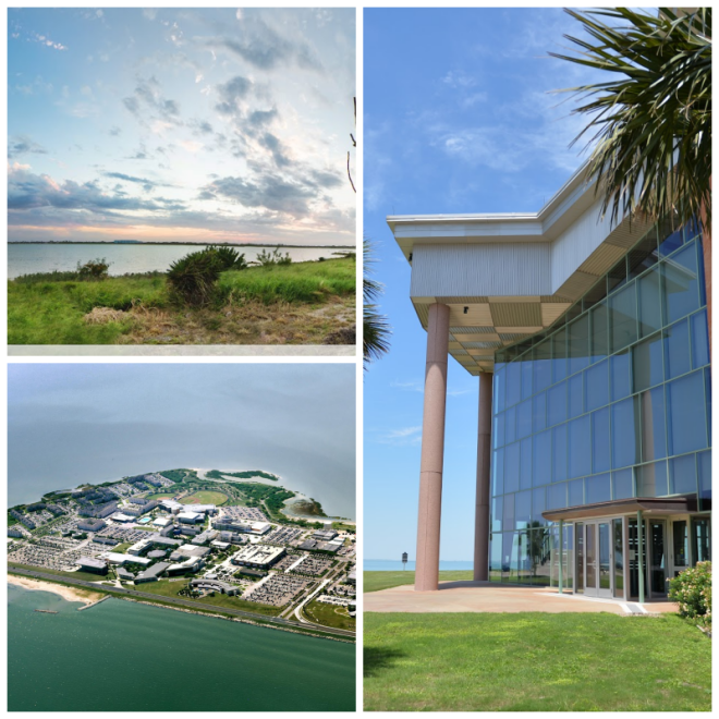 Review Texas A&M Corpus Christi image 86124