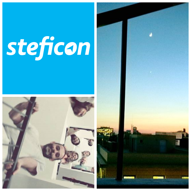 Review Steficon image 181451