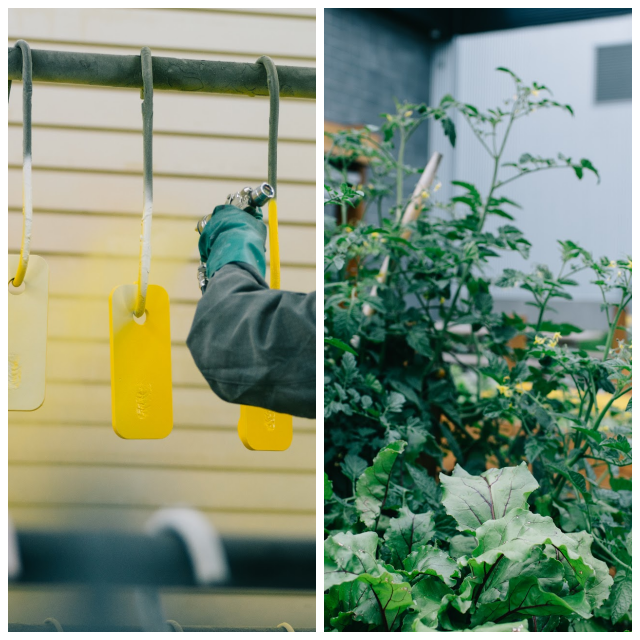 Review CMAC-Thyssen Mining Group image 192464