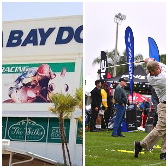Review Tampa bay downs inc image 253379