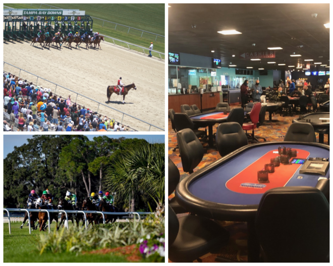 Review Tampa bay downs inc image 253381