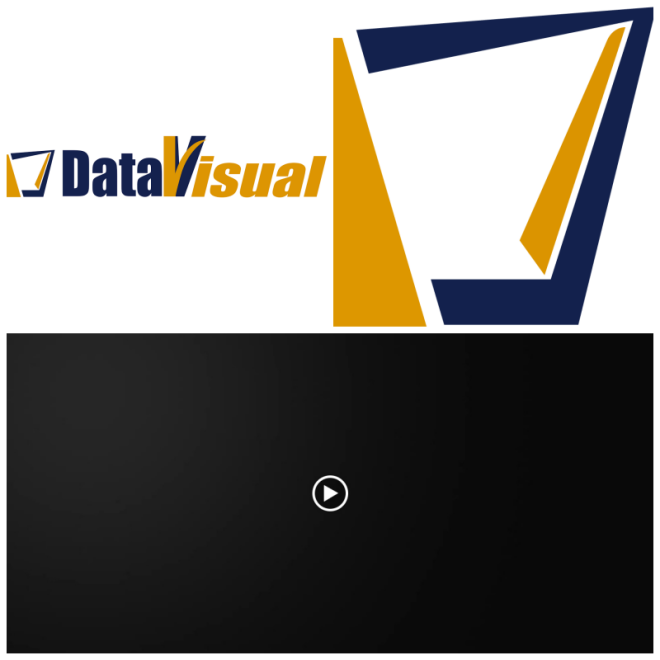 Review DataVisual image 105040