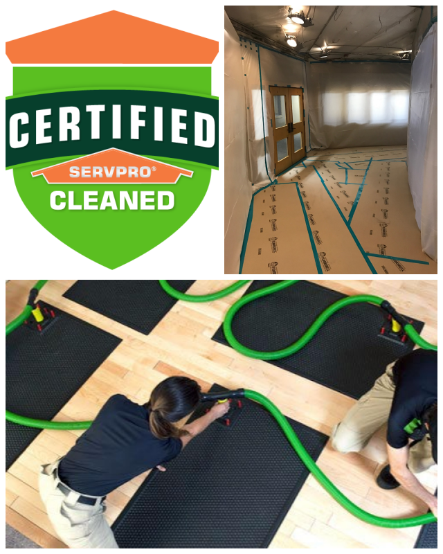 Review Servpro of tacoma image 352784
