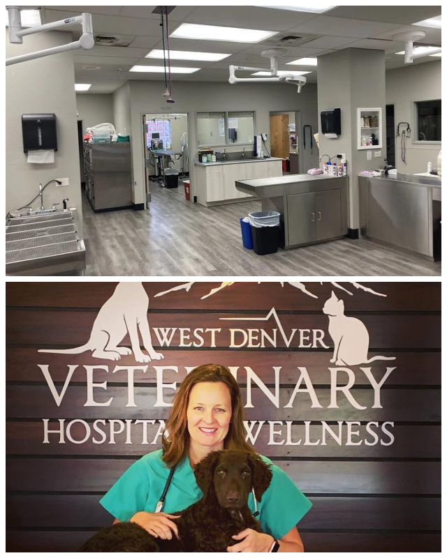 Review Wheat ridge animal hospital image 257277