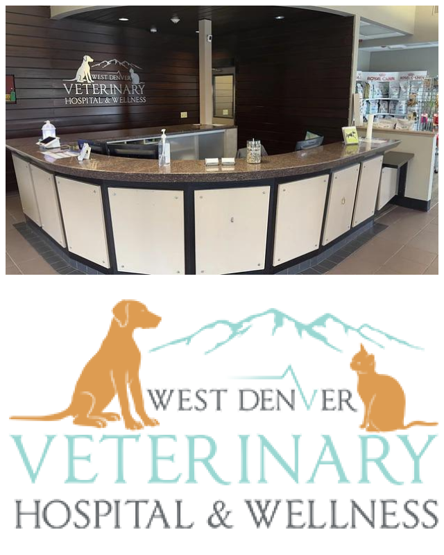 Review Wheat ridge animal hospital image 257278