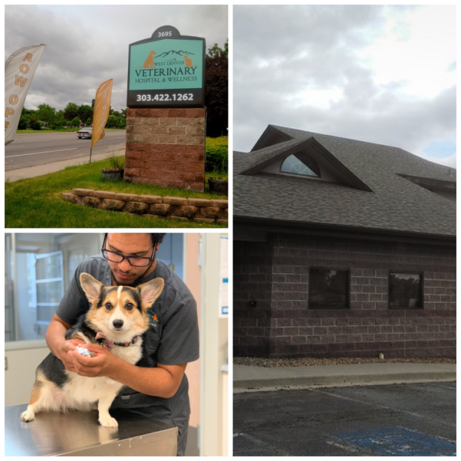 Review Wheat ridge animal hospital image 257279