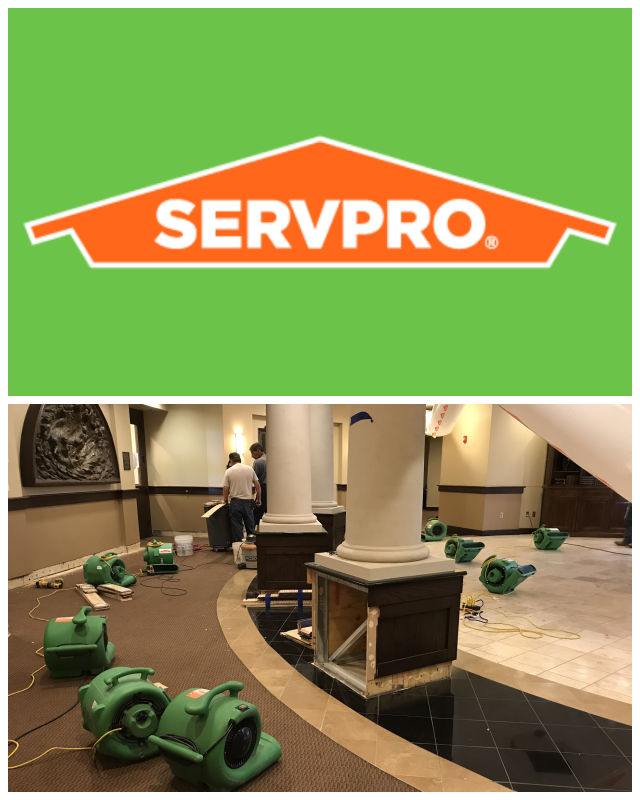 Review Servpro of St. Joseph image 59404