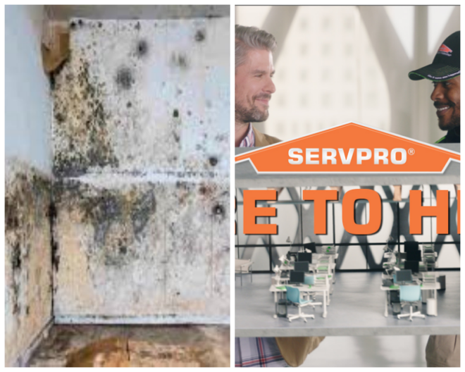 Review Servpro of St. Joseph image 59405