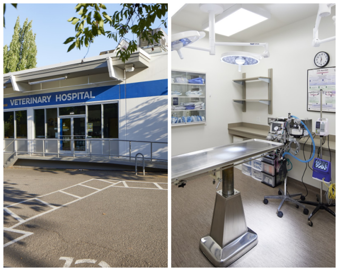 Review Northwest neighborhood veterinary hospital image 329900