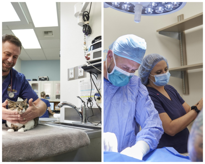 Review Northwest neighborhood veterinary hospital image 329901