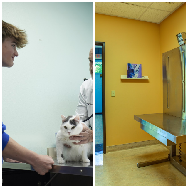 Review Northwest neighborhood veterinary hospital image 329902