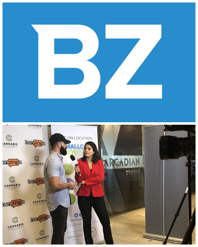 Review Benzinga image 259306