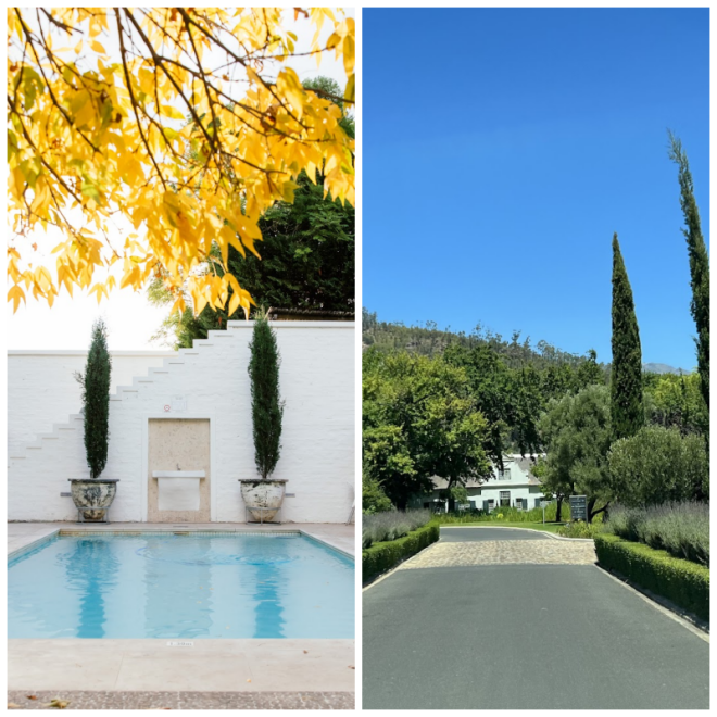 Review Grande Provence Heritage Wine Estate, Franschhoek image 95688