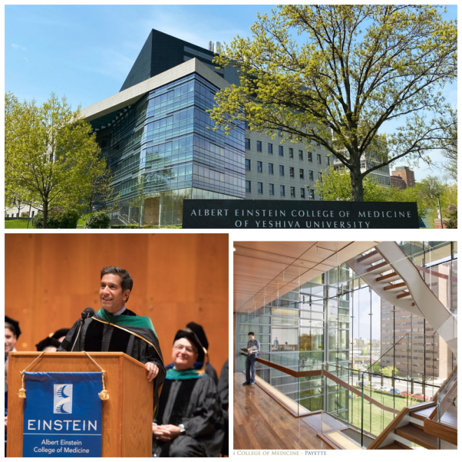 Review Albert einstein college of medicine image 239576