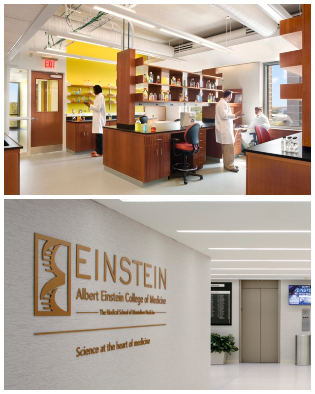 Review Albert einstein college of medicine image 239579
