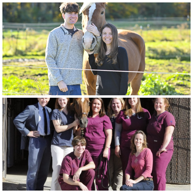 Review Myhre Equine Clinic image 171902