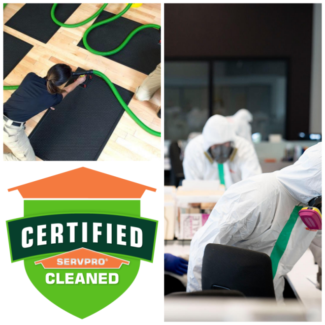 Review Servpro of lodi image 352636