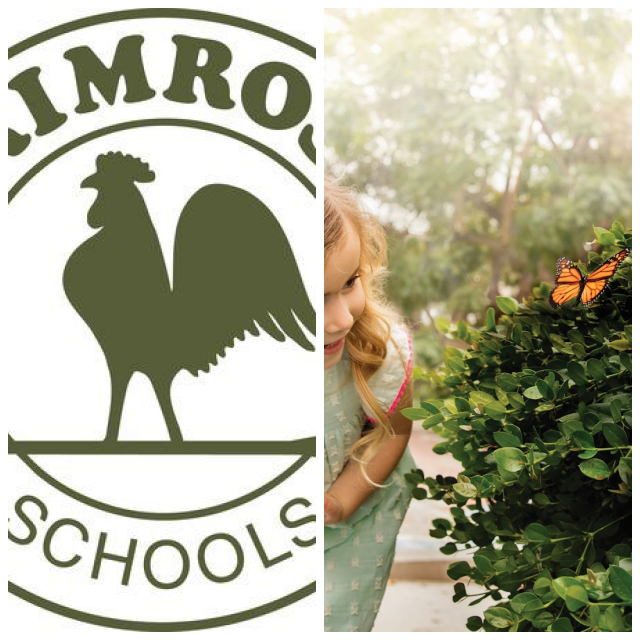 Review Primrose school of richardson image 340082