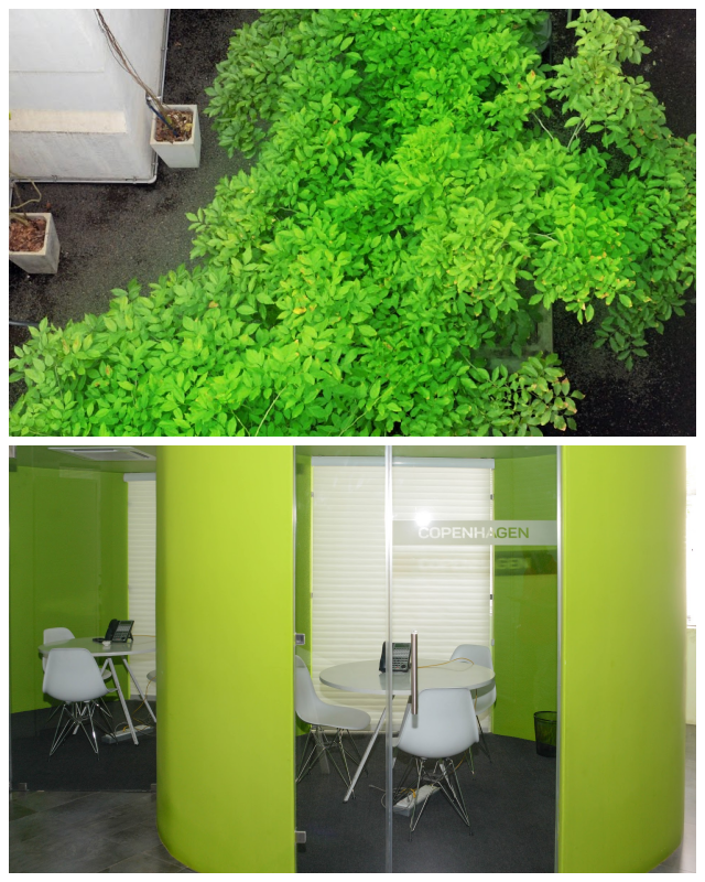 Review Eyepax IT Consulting (Pvt) Ltd. image 151646
