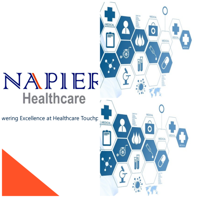Review Napier HealthCare Solutions (India) Ltd image 80301