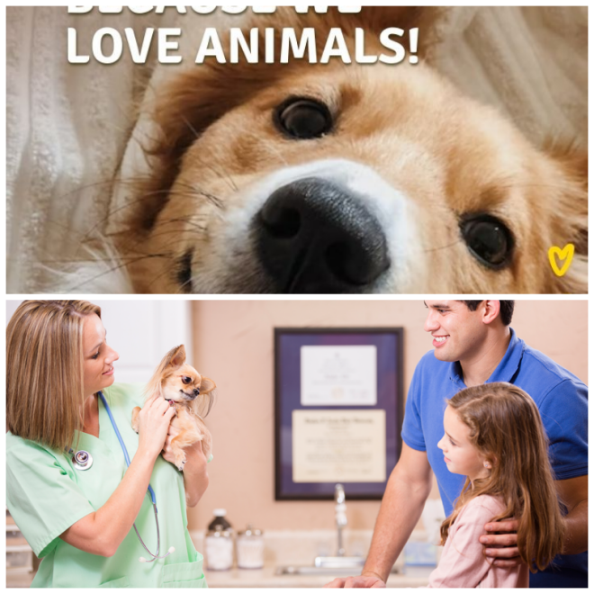 Review Germantown Veterinary Clinic image 11307