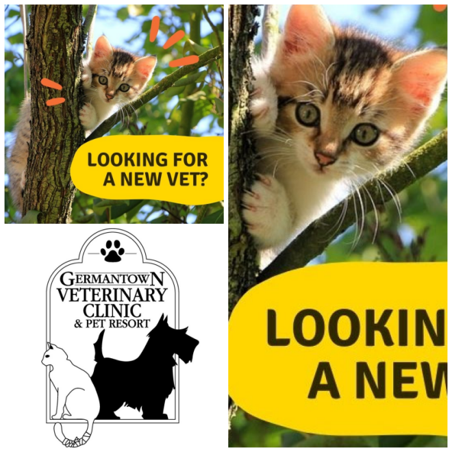 Review Germantown Veterinary Clinic image 11309