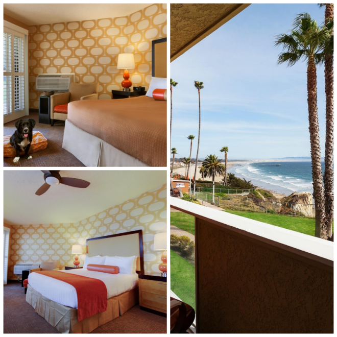 Review SeaCrest OceanFront Hotel image 172905