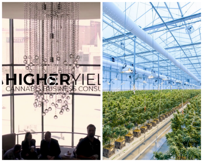 Review Higher yields consulting image 296795