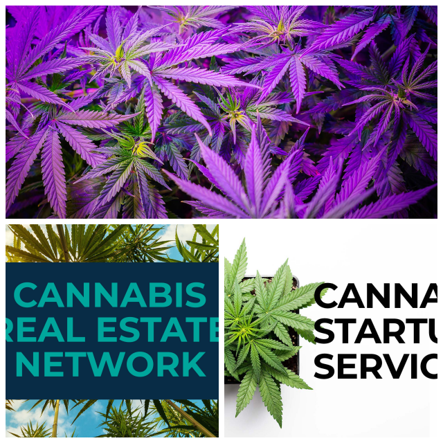 Review Higher yields consulting image 296797