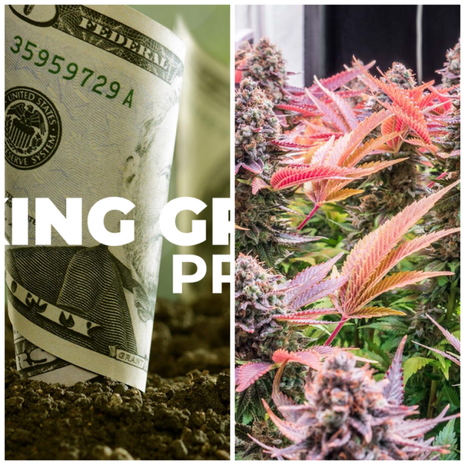 Review Higher yields consulting image 296798