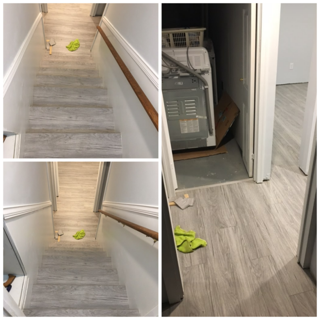 Review Dynamic carpets image 277302