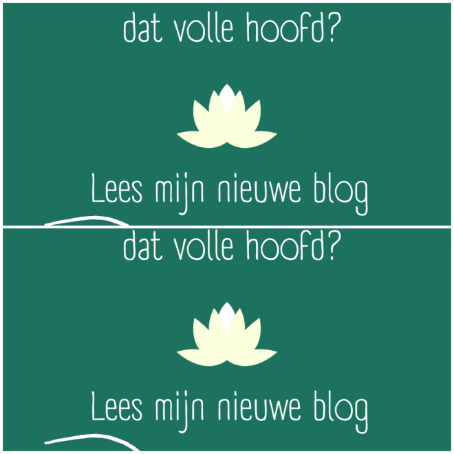 Review Lotus ruimt op image 6270