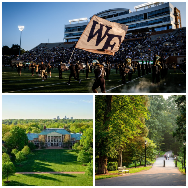 Review Wake forest university image 239470