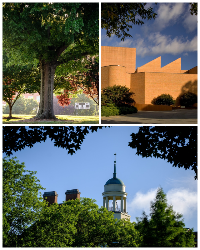 Review Wake forest university image 239471